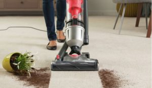 Carpet Cleaning