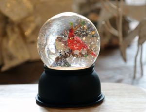 personalized snow globes with picture