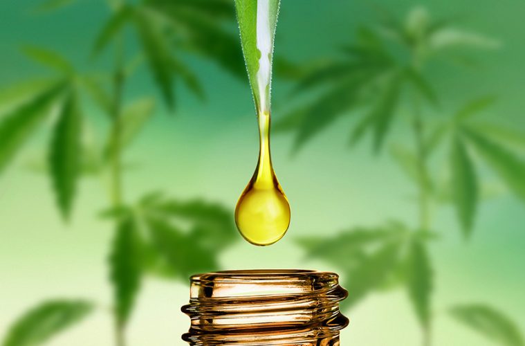 cbd oil canada