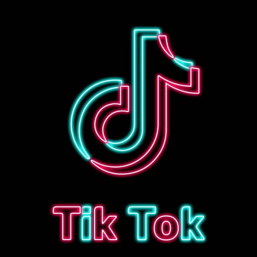 TikTok follower