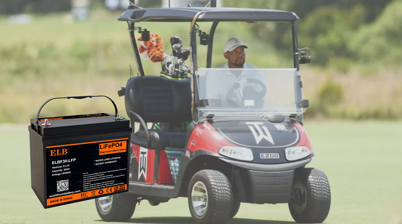 Golf Cart Batteries